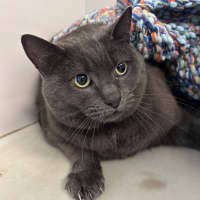 Photo of Missy