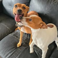 Photo of Trixie And Kayla