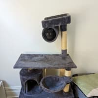 Photo of Midnight