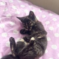 Photo of Ramona