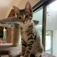 Photo of Karrie