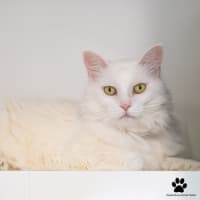 Photo of Maggie
