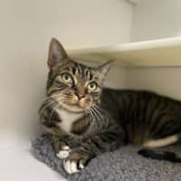 Photo of 🎮 Nippet 5903 🎮