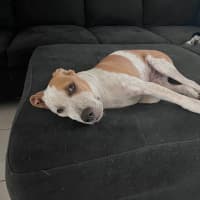 Photo of Charlie (P11)