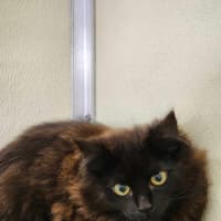 Photo of 🍫 Malteaser 5469 🍫