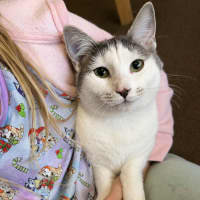 Photo of Annie