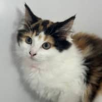 Photo of Freya 