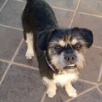 Photo of Murphy