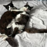 Photo of Felix & Rosie