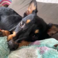 Photo of Hazel