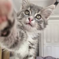 Photo of Tasha