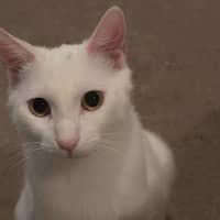 Photo of Mystery