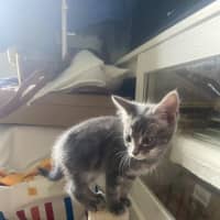 Photo of Tabitha