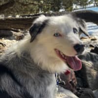 Photo of Luca