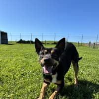 Photo of Cassie