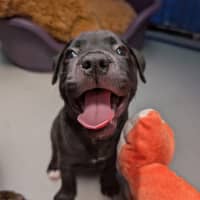 Photo of Zeus