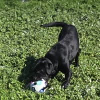 Photo of Rudy