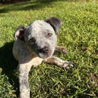 Photo of Sally