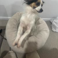 Photo of Po