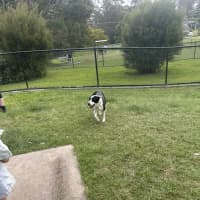Photo of Tilly
