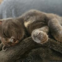 Photo of Tiny