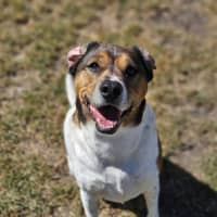 Photo of Hunter
