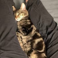 Photo of Stout