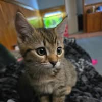 Photo of Annika