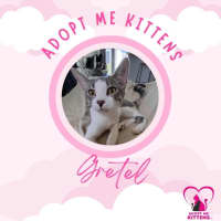 Photo of Gretel