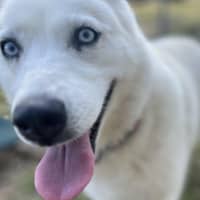 Photo of 🌻 Maya 5035 🌻