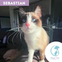 Photo of Sebastian