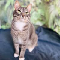 Photo of Greg   Located In Preston