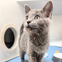 Photo of Luna