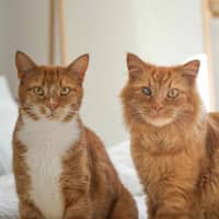 Photo of Finn & Percy