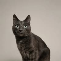 Photo of Max