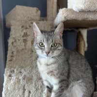 Photo of Simon