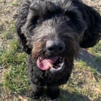 Photo of Axel