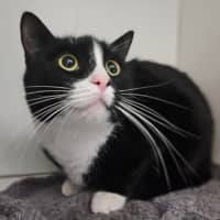 Photo of Bug