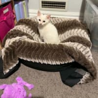Photo of Jolly