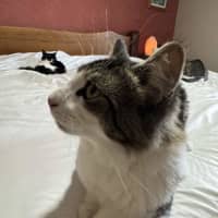 Photo of William