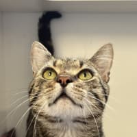 Photo of Spud