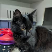 Photo of Liesl