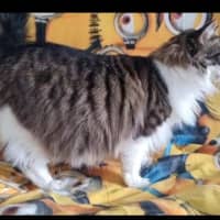 Photo of Zuzu