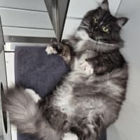 Photo of Max