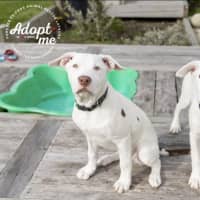 Photo of ❄️ Snowy ❄️