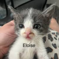 Photo of Eloise