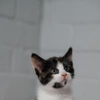 Photo of Crystal