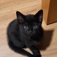 Photo of Mystique