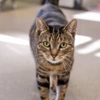 Photo of Turbo