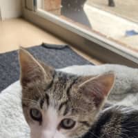 Photo of Elodie